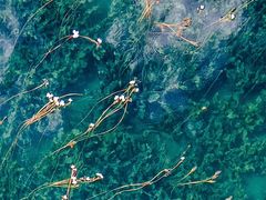 -丽江泸沽湖景区