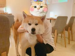 -餐酒吧Com-ing Bar(上海路店)