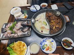 石锅鱼-秦巴石锅鱼