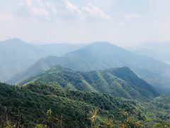 -江西阳明山国家森林公园