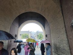 -大槐树寻根祭祖园