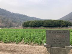 -八卦田遗址公园