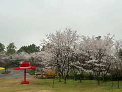 -南山植物园