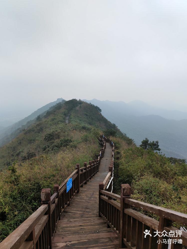 常德太阳山上山路线图片