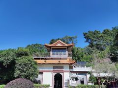 -深圳仙湖植物园