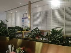 -杯子红牛排(南庄吉利广场店)