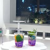 小榄探店｜全新升级SELFLORA·已荷🪷