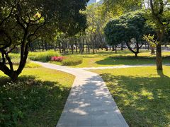 -荔香公园