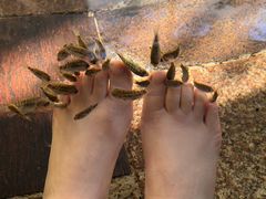 -宁海森林温泉