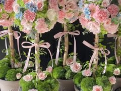 -植物学家的女儿(北马道巷店)