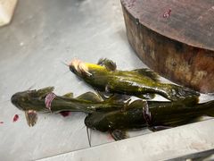 -荣德灶台鱼(圣泉寺店)