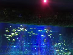 -沈阳海洋探索中心