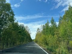 -莫尔道嘎国家森林公园