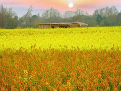 -中国天府农业博览园