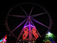 -锦江乐园舞狸花花游园会(夜场专享)
