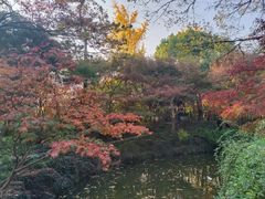 -秋霞圃