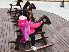 -黄海国家森林公园