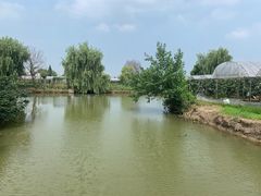 -马陆小张葡萄园农家乐