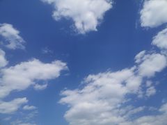 -同州传统面馆(东大街)