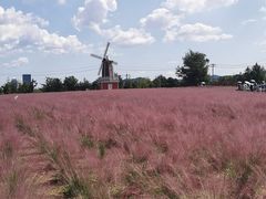 -羊亭河湿地公园