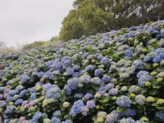 -苏州上方山国家森林公园