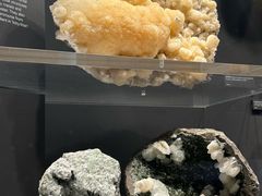 -墨尔本博物馆(Melbourne Museum)
