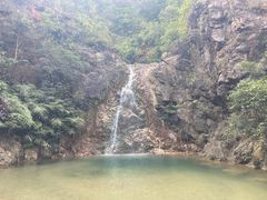 -南海湾森林生态园