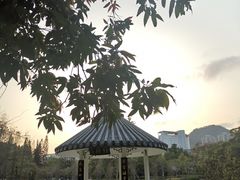 -四海公园(南山区)
