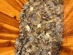 -初色海鲜自助(万丰路店)