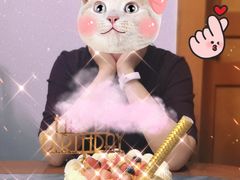木糖醇无糖蛋糕-蛋糕好了·动物奶油0卡糖低脂蛋糕