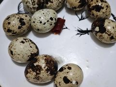 -柳沟豆腐宴69号福豆堂
