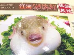 -镇扬菜馆
