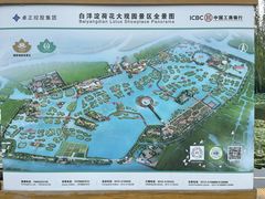 -荷花大观园