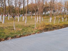 -洨河生态公园