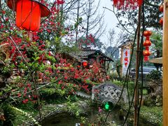 -青城甲(青城山店)