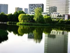 -大兴滨河森林公园