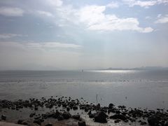 -深圳湾公园(南山区)
