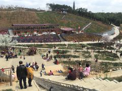 -绵阳盛世樱花悠乐谷