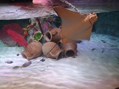 -沈阳海洋探索中心