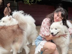 -TrueLove @ Neverland (Husky Cafe)