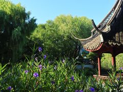 -上海醉白池公园