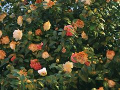 -长沙火车站(地铁站)