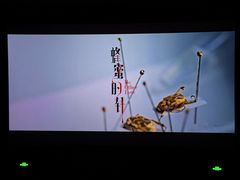 -CGV星星影城(颐堤港ScreenX店)