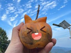 -树山生态村