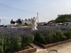 -玫瑰海岸文化旅游度假区