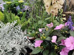 -深圳国际园林花卉博览园