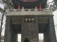-青龙山国家森林公园