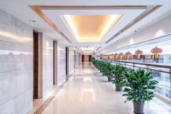 -天泰一站式婚宴·宴会厅