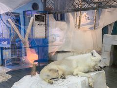 -南京海底世界