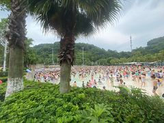 -重庆海昌加勒比海水世界